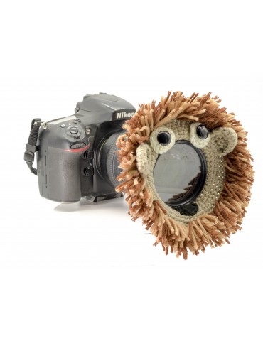 "Lens Lion" For Creative...