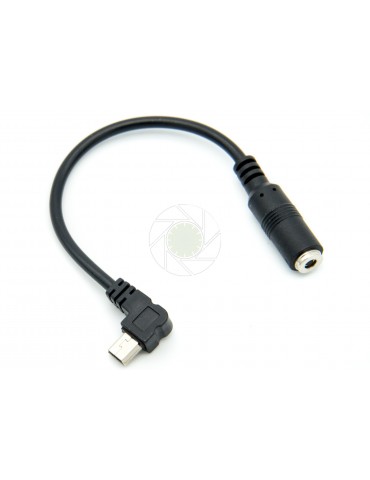 Audio Input Cable (Hero3/3+)